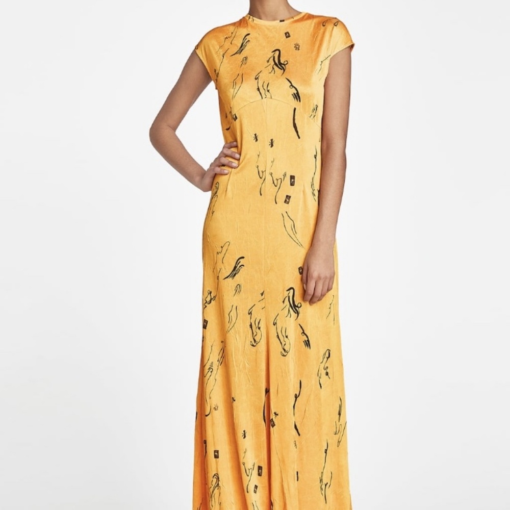 *Sold* NWT Zara | Yellow Sheer Maxi Dress